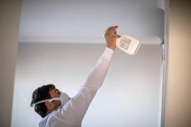 Best Same-Day Mold Removal  in Effort, PA