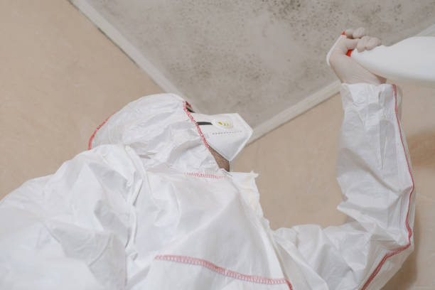 Best Certified Mold Removal  in Effort, PA